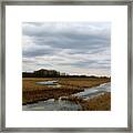 Marsh Day Framed Print