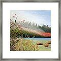 Marsh Morning Framed Print