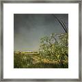 Marsh Pathway Framed Print