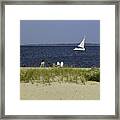 A Day At The Beach 2 - Martha's Vineyard Framed Print