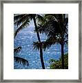 Maui Palms Framed Print