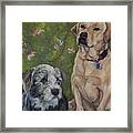 Max And Molly Framed Print