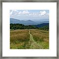 Max Patch Trail Summer Framed Print