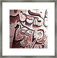 Mayan Relief Framed Print