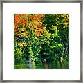 Mccarston's Lake Framed Print