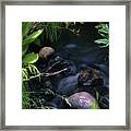 Meadow Stream Framed Print