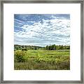 Meadowlands Framed Print