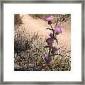 Meaner Than They Look Framed Print