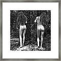 Medieval Forest Twins Framed Print