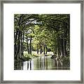 Medina River Framed Print