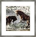 Meeting On The River Framed Print