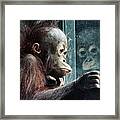 Melancholy Baby Framed Print