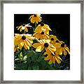 Mellow Yellow Framed Print