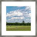 Mercer County Landscape Framed Print