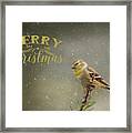 Merry Christmas Winter Goldfinch 1 Framed Print