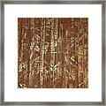 Metallic Bamboo Framed Print