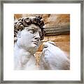 Michelangelo's David 2 Framed Print