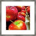 Michigan Apples Framed Print