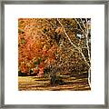 Michigan Autumn 1 Framed Print