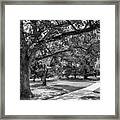 Michigan State University Campus Landscape With Light Framed Print