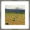 Mid June Colorado Hay  And The Twin Peaks Longs And Meeker Framed Print