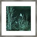 Midnight Flight Silhouette Teal Framed Print