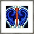 Midreal Butterfly Framed Print