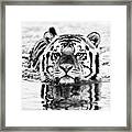 Big Mike - Bw Framed Print