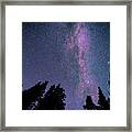 Milky Way In The Trees Framed Print