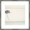 Miracle Of A Single Flower Framed Print