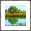 Mirror Of Silent Clarity Framed Print