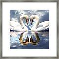 Mirrored White Swans With Clouds Effect Framed Print
