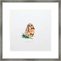 Miss Bunny Framed Print