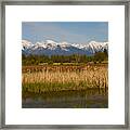 Mission Mountain Delight Framed Print