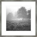 Misty Field Framed Print