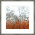 Misty Morning Framed Print