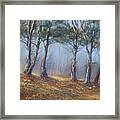 Misty Pines Framed Print
