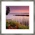 Misty Sunrise Framed Print