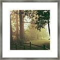Misty Trail And Fence Framed Print
