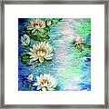 Misty Waters Waterlily Pond Framed Print