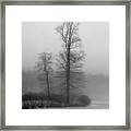 Misty Winter Day Framed Print