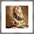 Moby Dick 2 Framed Print