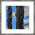 Modern Suburban House Hayward Hills With Cedar Trees Hayward California 36 Framed Print
