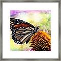 Monarch Abstract Framed Print