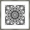 Monochrome Kaleidoscope Framed Print