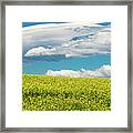 Montana Sky Framed Print