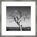 Moon And Memory At Bosque Del Apache N M Framed Print