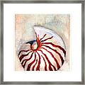 Moon Nautilus Framed Print