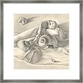 Moon Snail Still Life Framed Print