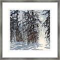 Moonlight In Vermont Framed Print